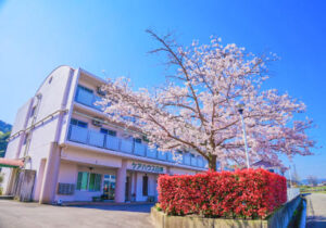 桜が咲く春季の施設外観。3階建てのピンク色の建物と赤い花壇が印象的。